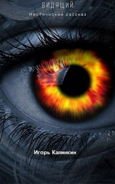 Калинкин Игорь - Видящий - Читать книги онлайн | Слушать аудиокниги онлайн | Электронная библиотека books-lib.com